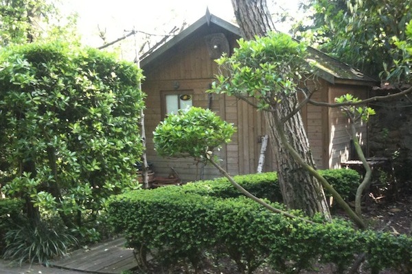 taille en nuage, cabanne