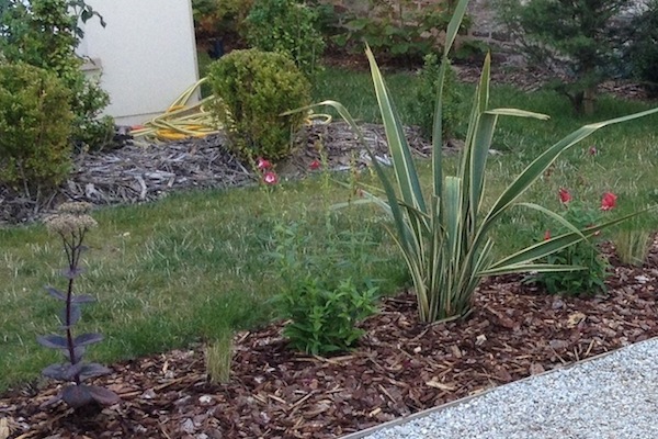 jardin à la française