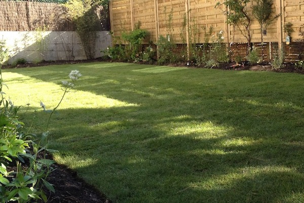 paysagiste saint maur