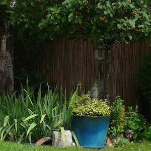 entretien de jardins